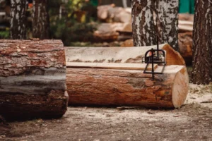 Fendeuse à bois : votre alliée de choix pour le travail du bois