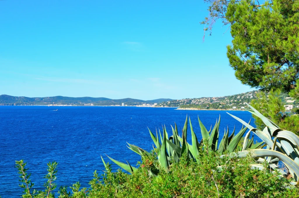 webcam le lavandou