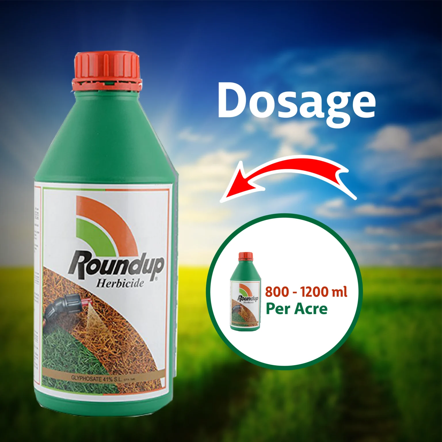 Dosage RoundUp pour 5 litres d’eau : le guide dosage roundup