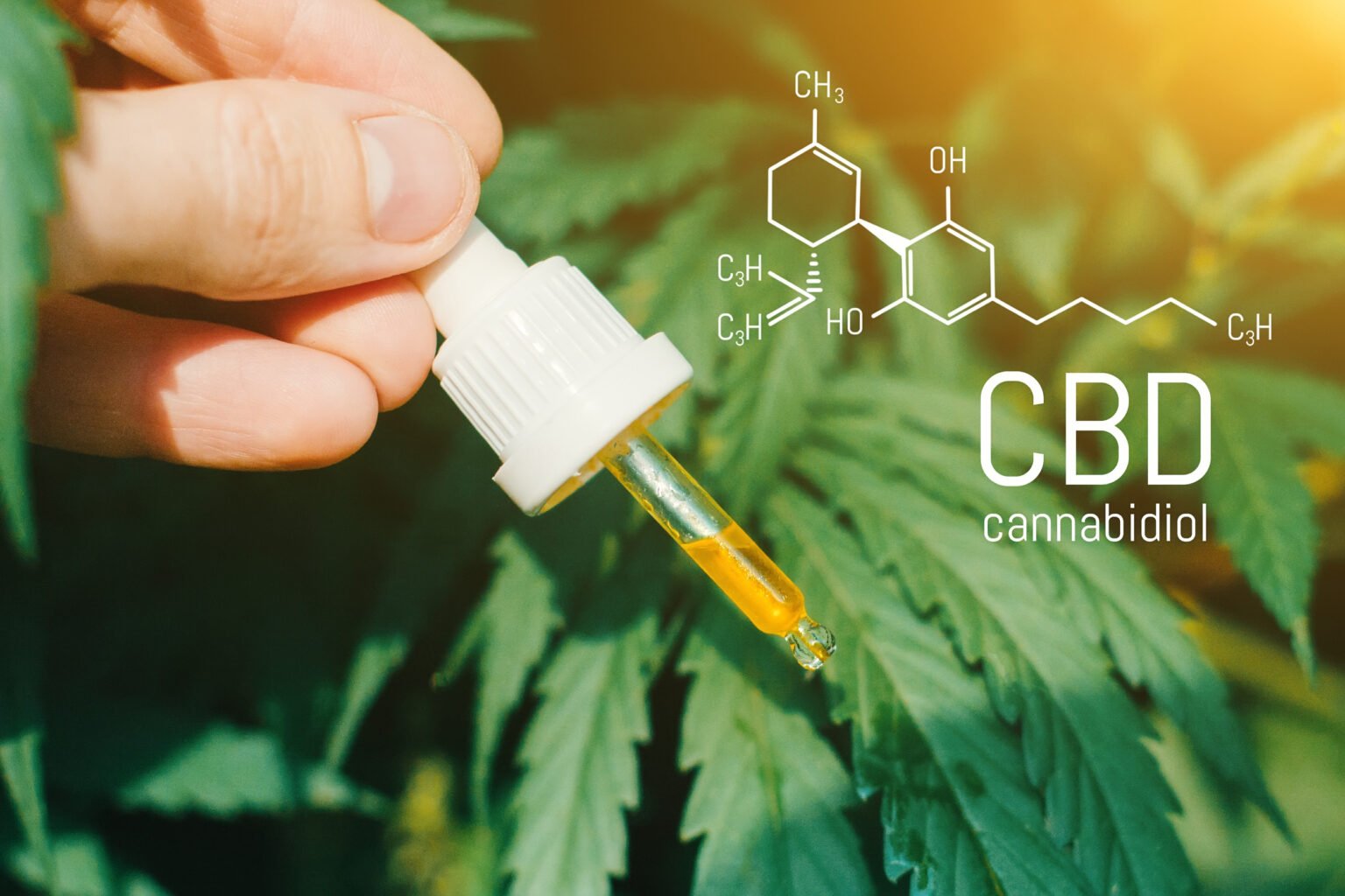 Top 10 des meilleures boutiques de CBD