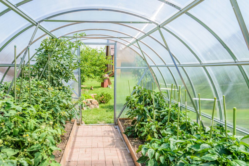 Serre de jardin : où en acheter ?