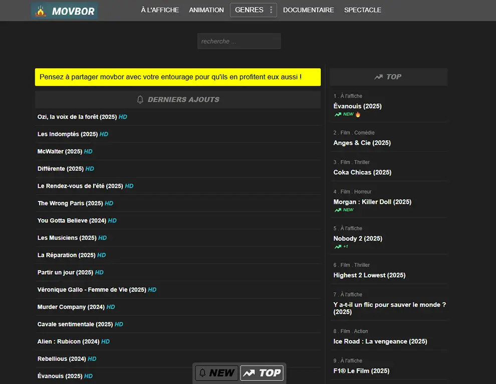 Movbor, screenshot de la plateforme de streaming