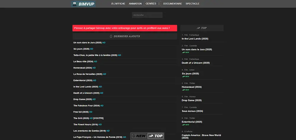 Bimvup page d'accueil du site