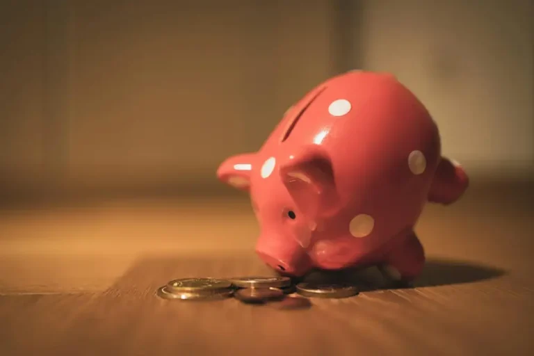 cochon tirelire économiser en faisans conversion pdf