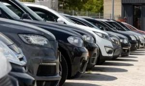 Odoscanner : plaque et VIN, deux vérifications complémentaires pour sécuriser un achat auto achat auto : odoscanner, plaque et VIN