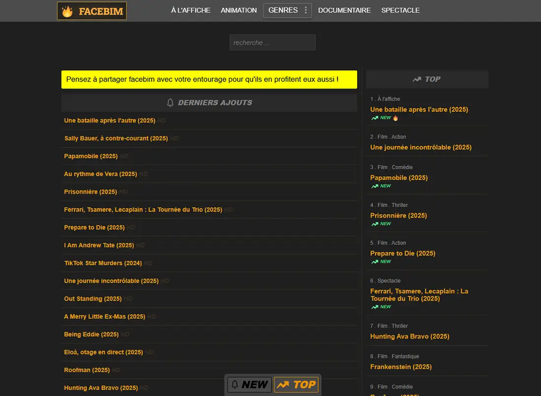 Facebim, screenshot de la plateforme de streaming