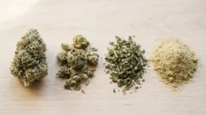 Le vocabulaire du CBD décodé : buds, small buds, trim, popcorn, hash, moonrock Comparaison visuelle d'une tête de chanvre, de small buds, de trim et de kief posés côte à côte