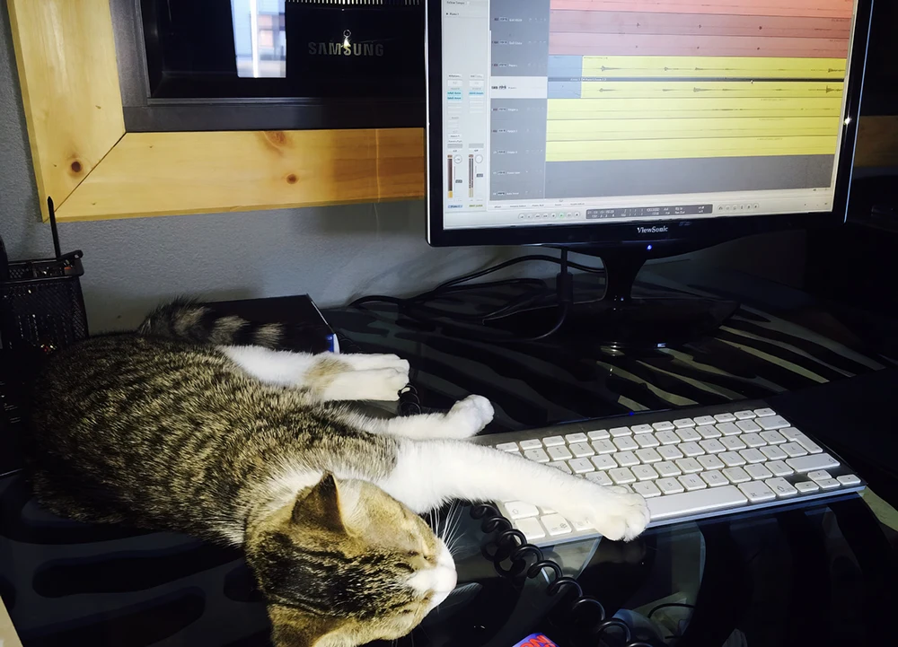 Interface de Logic Pro dans un home studio, un chat endormi sur le clavier